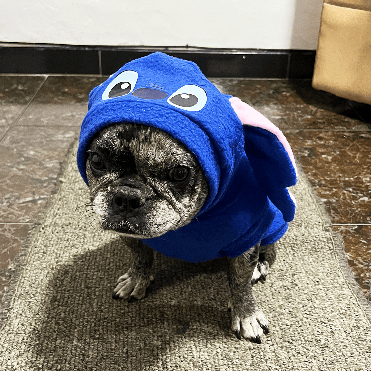 Disfraz Mascotas Stitch Stich DNST