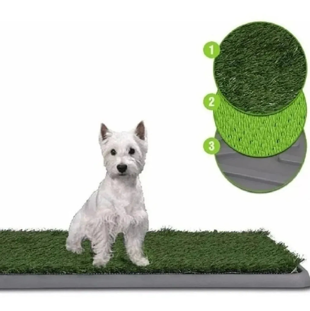 Tapete Entrenamiento dePerros Potty Pad